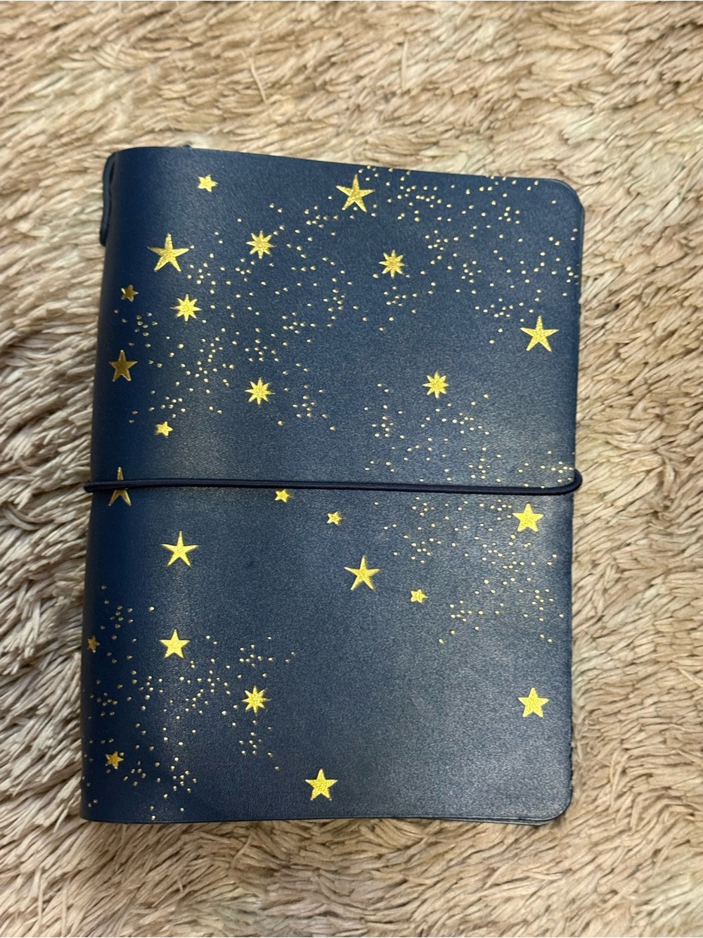 Erin Condren Starry Sky Folio Journal Cover!